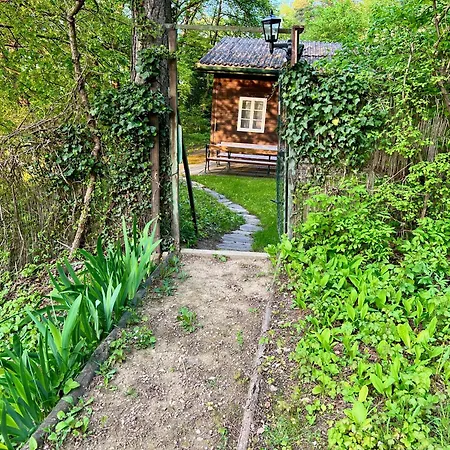 Sommerhaus Zur Eule