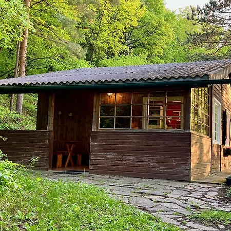 Sommerhaus Zur Eule *