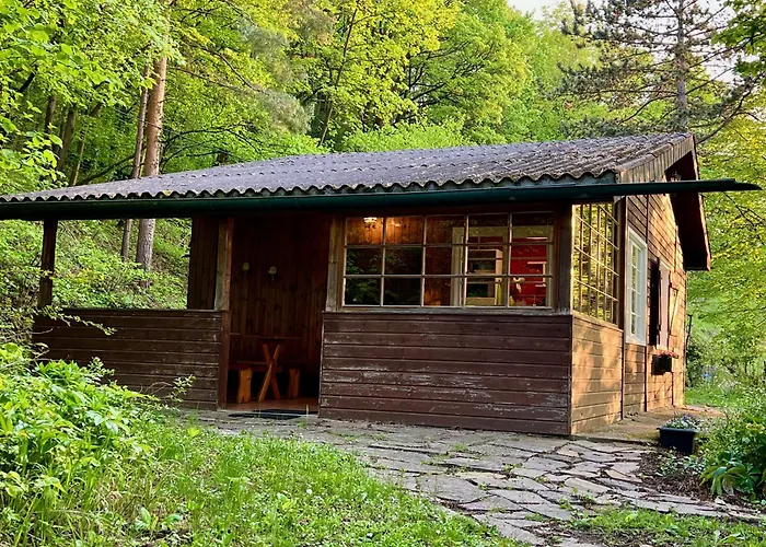 Sommerhaus Zur Eule *